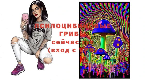 стафф Абинск