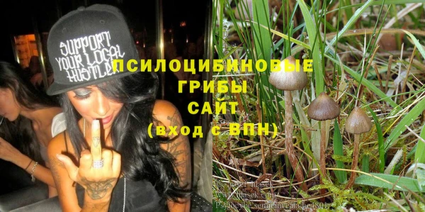 стафф Абинск